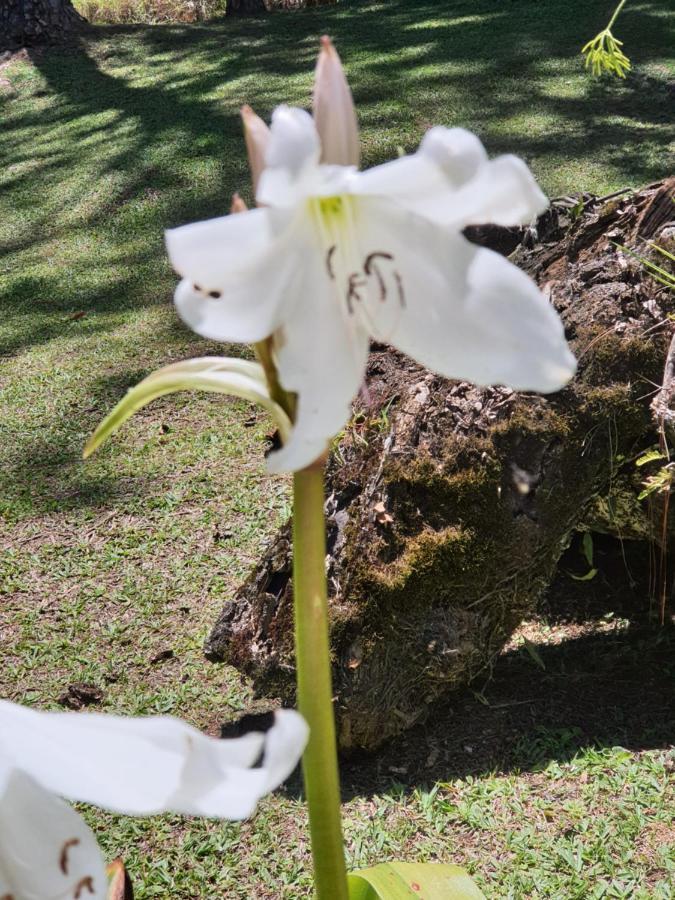 Recanto Das Borboletas São Roque Dış mekan fotoğraf
