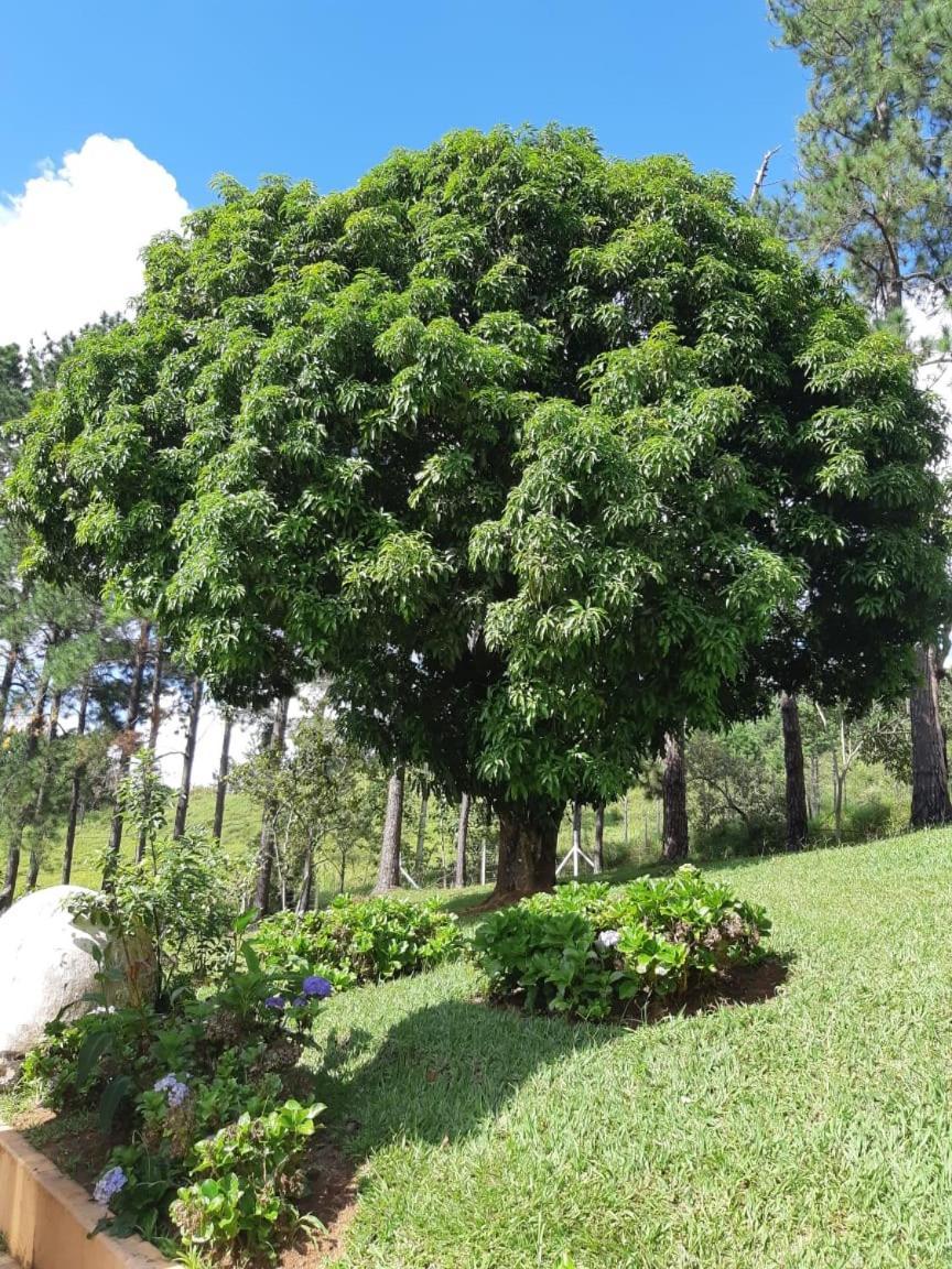 Recanto Das Borboletas São Roque Dış mekan fotoğraf